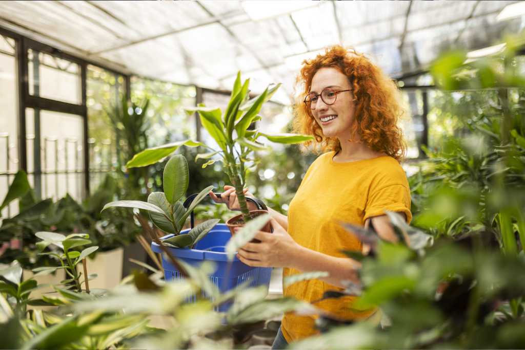 Woman admiring available plants in garden centre