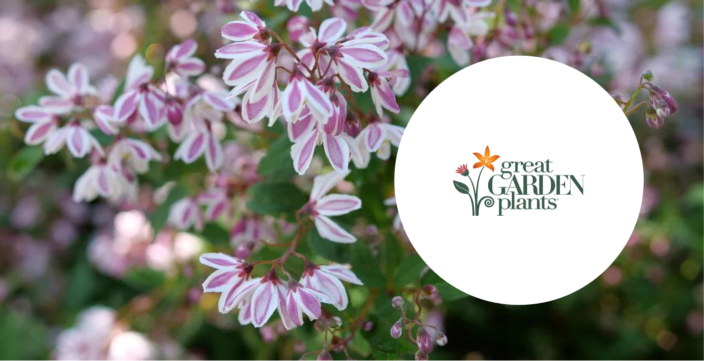 How SkuVault Core rooted success at Great Garden Plants Linnworks