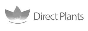 Logo Directplants Gray